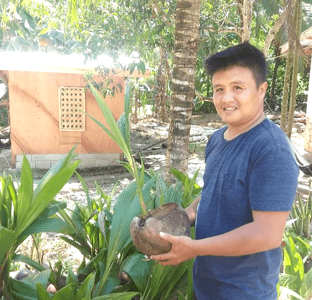 Century Pacific, GCash and HOPE celebrate coconut tree-planting ...